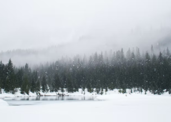 توقعات طقس ميشغان لهذا الشتاء