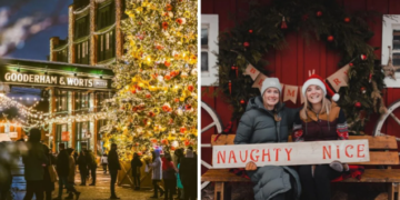 8 أسواق سحرية لعيد الميلاد  خلال الشهر المقبل