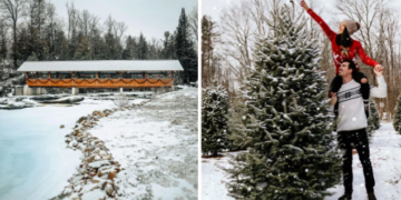 مزرعة سحرية لاختيار أشجار عيد الميلاد  بالقرب من أوتاوا