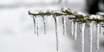 درجات الحرارة في مونتريال تقترب من التجمّد وتحذير من الصقيع ليلة الجمعة