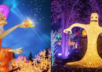 انطلاق عرض أضواء الهالوين المبهر Illumi مع 25 مليون ضوء LED