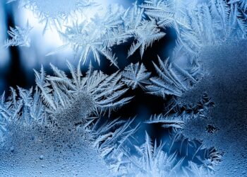 درجات الحرارة في مونتريال و كيبيك ستقترب من درجة التجمّد خلال الليل