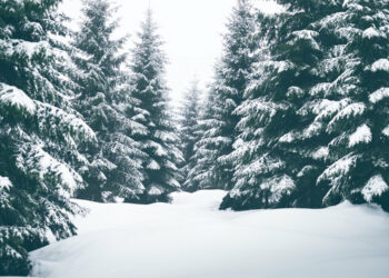 مونتريال على موعد مع أول تساقط للثلوج يوم الأربعاء