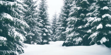 مونتريال على موعد مع أول تساقط للثلوج يوم الأربعاء