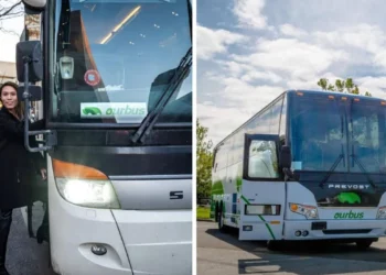 إطلاق خدمة حافلات جديدة تربط مونتريال بمدية بوسطن الأمريكية بتذاكر أقل من 100 دولار