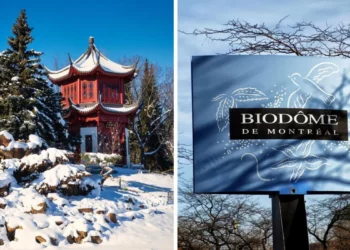 استكشف متاحف مونتريال والـ Biodome مجاناً في هذه التواريخ في ديسمبر/كانون الأول