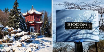 استكشف متاحف مونتريال والـ Biodome مجاناً في هذه التواريخ في ديسمبر/كانون الأول