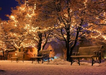 الصحة الكندية تسحب بعض أضواء عيد الميلاد من الأسواق لتسببها بصدمات كهربائية