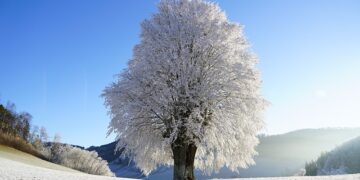 طقس بارد وعواصف ثلجية في توقعات الطقس لهذا الأسبوع في أوتاوا