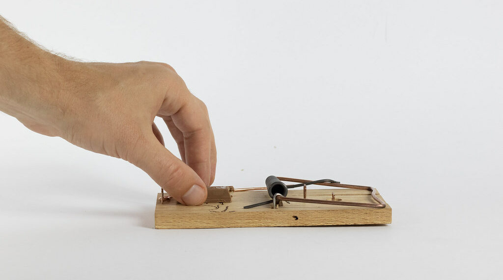 العثور على فضلات فئران على بيتزا في إحدى مدارس كيبيك