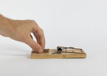 العثور على فضلات فئران على بيتزا في إحدى مدارس كيبيك