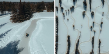 مسار تزلج مميز قرب أوتاوا للاستمتاع في أجواء عيد الميلاد