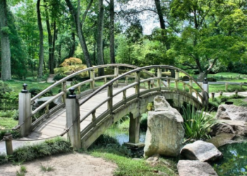 يمكنكم زيارة هذه الحدائق الوطنية مجاناً خلال 2023