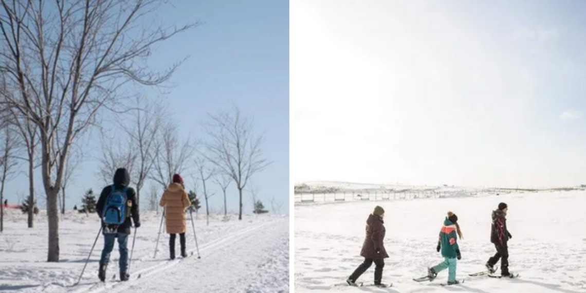 استكشف هذا المتنزه الذي يقدم نشاطات شتوية مجانية هذا الشتاء في مونتريال