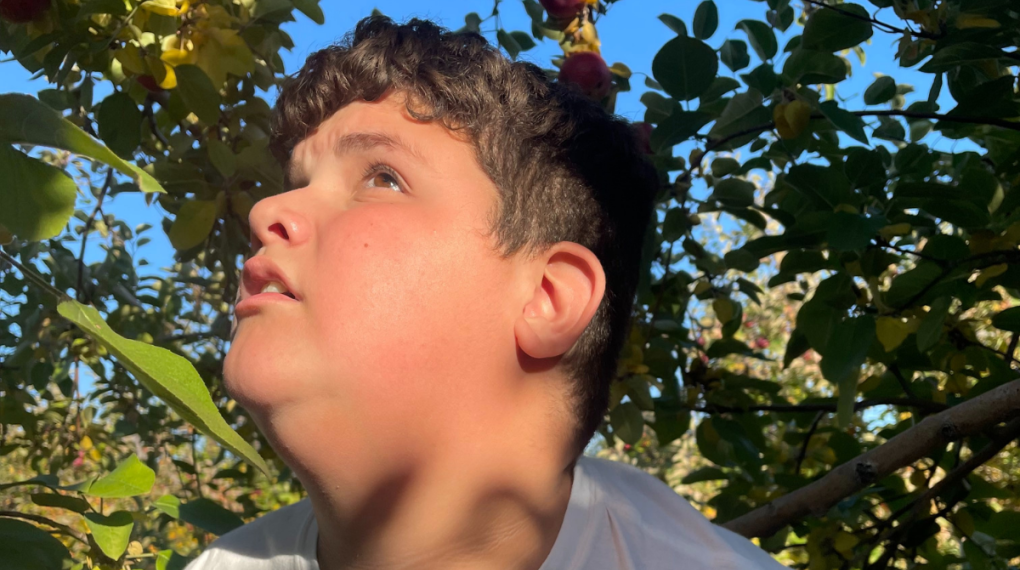 رفض تقديم العلاج النفسي لطفل مصاب بالتوحد في مونتريال لأنه يدرس في مدرسة إنكليزية