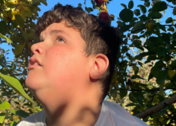 رفض تقديم العلاج النفسي لطفل مصاب بالتوحد في مونتريال لأنه يدرس في مدرسة إنكليزية