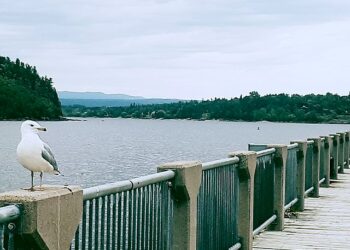 4 أماكن في كيبيك صُنفت ضمن أفضل 10 أماكن للعيش في كندا