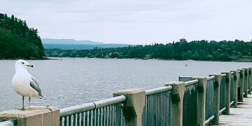 4 أماكن في كيبيك صُنفت ضمن أفضل 10 أماكن للعيش في كندا