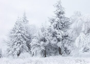 عاصفة ثلجية جديدة قادمة مع توقعات بتراكم 15 سم من الثلوج