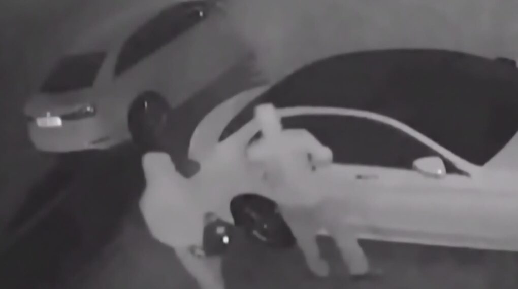 ارتفاع كبير في سرقات السيارات في مونتريال