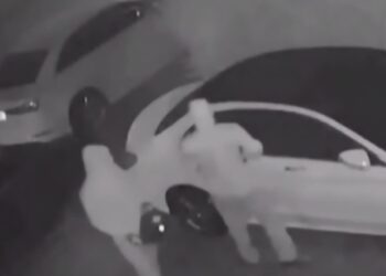 ارتفاع كبير في سرقات السيارات في مونتريال