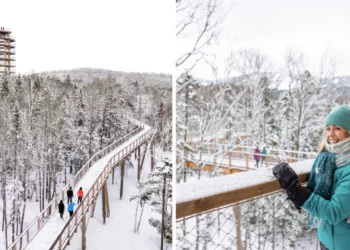 استكشف هذا المسار الساحر والأول من نوعه في أمريكا الشمالية بالقرب من مونتريال