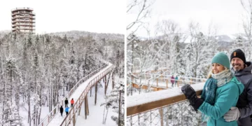 استكشف هذا المسار الساحر والأول من نوعه في أمريكا الشمالية بالقرب من مونتريال