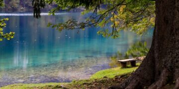 أكثر من 100 وظيفة متاحة لدى Parks Canada برواتب مغرية