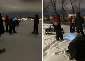 جولات ليلية مجانية في Parc Frédéric-Back في مونتريال