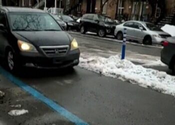 سيارة تسير في طريق مُخصّص للدراجات في مونتريال