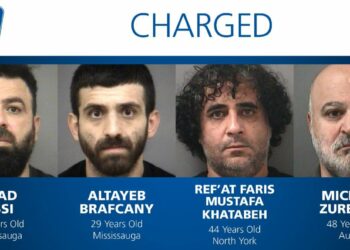 بعد تحقيق استمر لعدة أشهر… الشرطة تعتقل 4 أشخاص وتستعيد 78 سيارة مسروقة