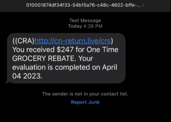 تزايد عمليات الاحتيال التي تستهدف مساعدات ضريبة السلع والخدمات، إليك كيف تحمي نفسك