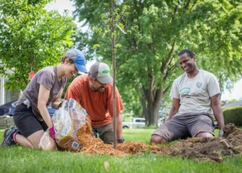 منحة مالية 125 دولار لتشجيع زراعة الأشجار