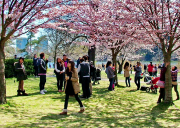 الطقس الأكثر دفئاً في طريقه إلى كندا هذا الأسبوع