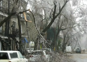 تفاصيل التعويضات التي يمكن أن تحصل عليها من شركات التأمين خلال العاصفة الجليدية