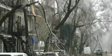 تفاصيل التعويضات التي يمكن أن تحصل عليها من شركات التأمين خلال العاصفة الجليدية