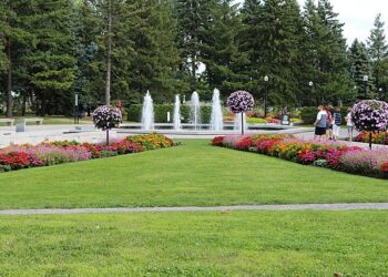 حديقة مونتريال النباتية تقدم فرصة مميزة للتنزه بين أزهار حديقتها اليابانية