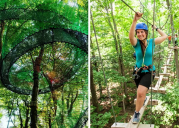 تجربة مميزة في حدائق المغامرات بالقرب من مونتريال