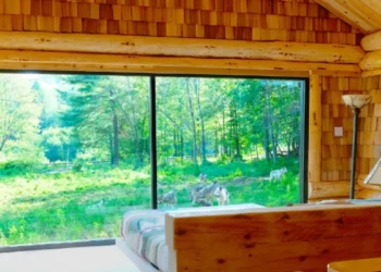 لمُحبي المغامرات …استمتع بقضاء ليلة بين الدببة والذئاب في هذا المنتزه