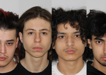 القبض على 4 شبان بتهم تتصل بسرقة السيارات