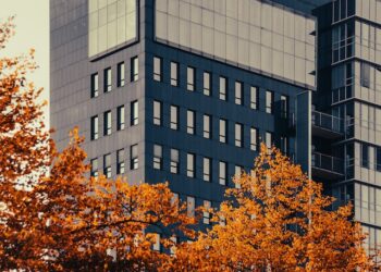 شركة IBM تخطط لاستبدال آلاف الوظائف بالذكاء الاصطناعي