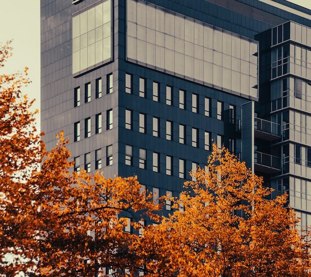 شركة IBM تخطط لاستبدال آلاف الوظائف بالذكاء الاصطناعي