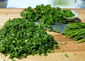 الصحة الكندية تسحب البقدونس المُباع في كيبيك بسبب تلوثه بالسالمونيلا