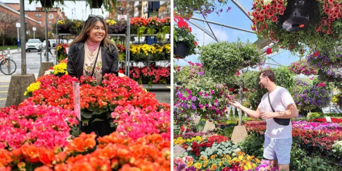 عودة المطاعم والفعاليات الصيفية إلى سوقي Atwater و Jean-Talon في مونتريال