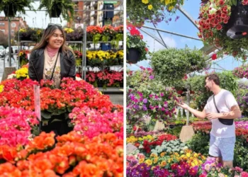 عودة المطاعم والفعاليات الصيفية إلى سوقي Atwater و Jean-Talon في مونتريال