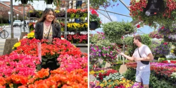 عودة المطاعم والفعاليات الصيفية إلى سوقي Atwater و Jean-Talon في مونتريال