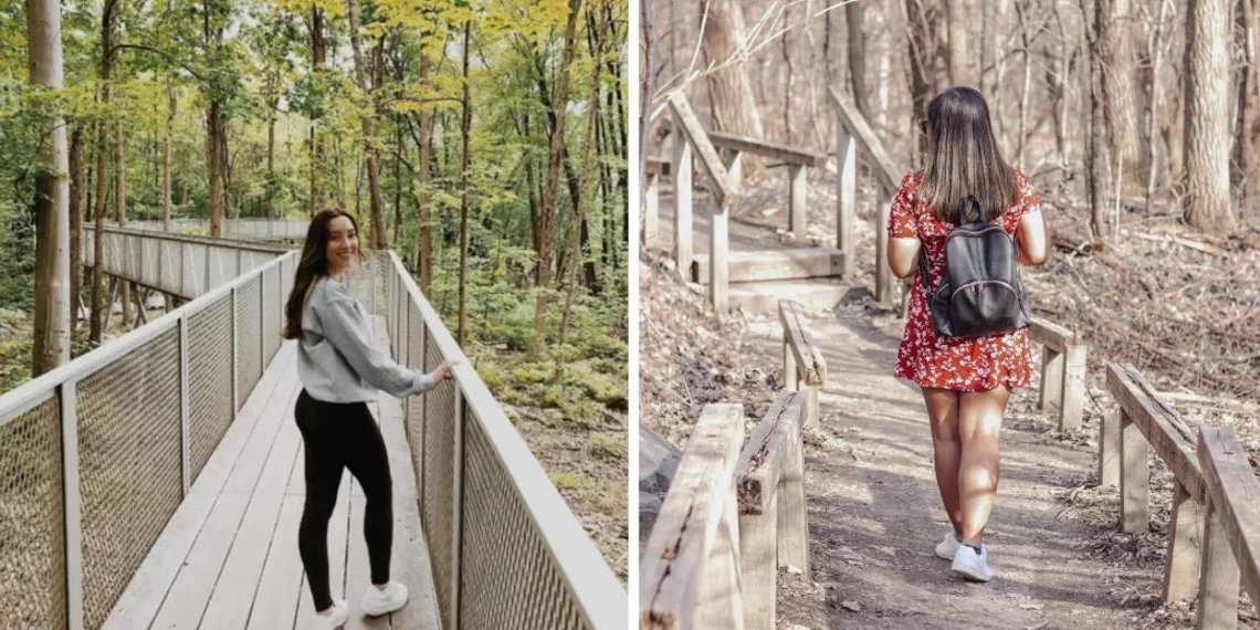 6 منتزهات وطنية يمكن الوصول إليها باستخدام نظام النقل STM