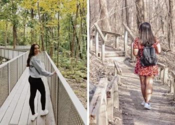 6 منتزهات وطنية يمكن الوصول إليها باستخدام نظام النقل STM