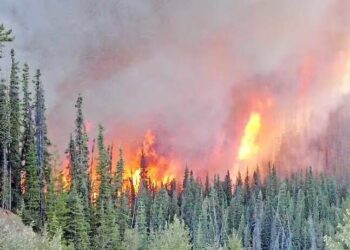 حرائق الغابات تجبر السكان على إخلاء منازلهم في شمال كيبيك