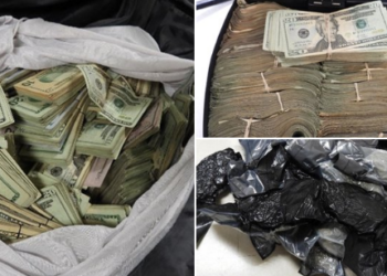 شرطة الخيالة الكندية تُلقي القبض على سائق أمريكي وتصادر كمية كبيرة من النقود والحشيش